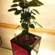 P1100002.JPG Cubotic Planter - CP150