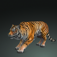 0_00021.png TIGER DOWNLOAD Bengal TIGER 3d model animated for blender-fbx-unity-maya-unreal-c4d-3ds max - 3D printing TIGER CAT CAT