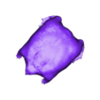 purple_frog_very_high_poly.stl purple frog Nasikabatrachus sahyadrensis