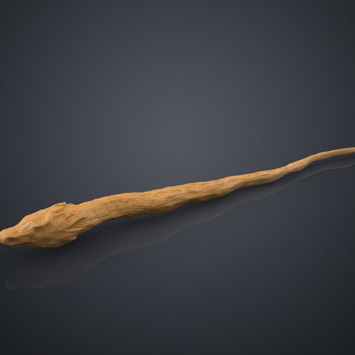 Dragonheart.0.jpg Dragon Heartstring's Wand