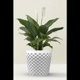 untitled.192.jpg Planter Pot indoor outdoor cactus vase