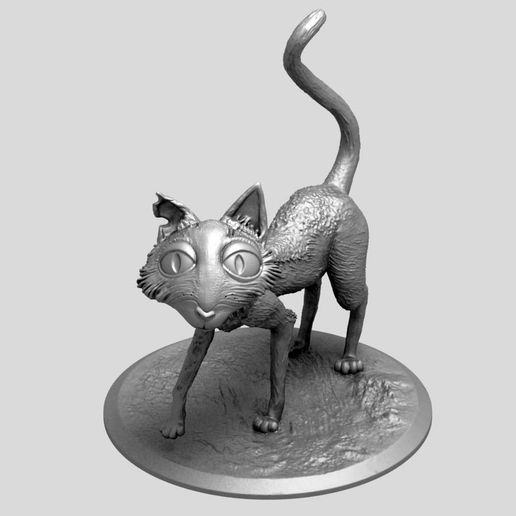 03.jpg CORALINE CAT
