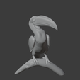 Hornbill_left.png Hornbill