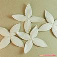 02b.jpg flowers: Ixora - 3D printable model