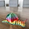 flexi snail