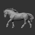 Percheron-running8.jpg Percheron läuft 3D-Druckmodell