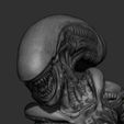 HeadTriangulada.jpg Alien Figure