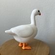 IMG_6974.jpeg 8inch Porch Goose, Desk Goose, Companion Buddy, Outdoor & Indoor statue, Yard Art, Cute and Funny Goose Gift - COMMERCIAL LICENSE!!
