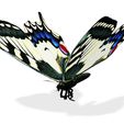 77.jpg DOWNLOAD BUTTERFLY 3D MODEL - ANIMATED - MAYA - BLENDER 3 - 3DS MAX - UNITY - UNREAL - CINEMA 4D - 3D PRINTING - OBJ - FBX - 3D PROJECT CREATE AND GAME READY BUTTERFLY - DRAGON