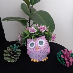 20220921_150211.jpg Owl Planter Pot