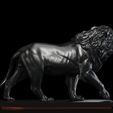 Lion-6.jpg Lions King