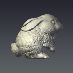 Rabbit_scr_02.jpg Fichier STL Lapin・Modèle pour impression 3D à télécharger