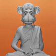 K3.jpg Ape Monk NFT Meditation Monkey