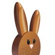 brown-rabbi-2t.jpg bunny-shaped basket