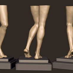 female-legs-1.jpg Female Legs Anatomy