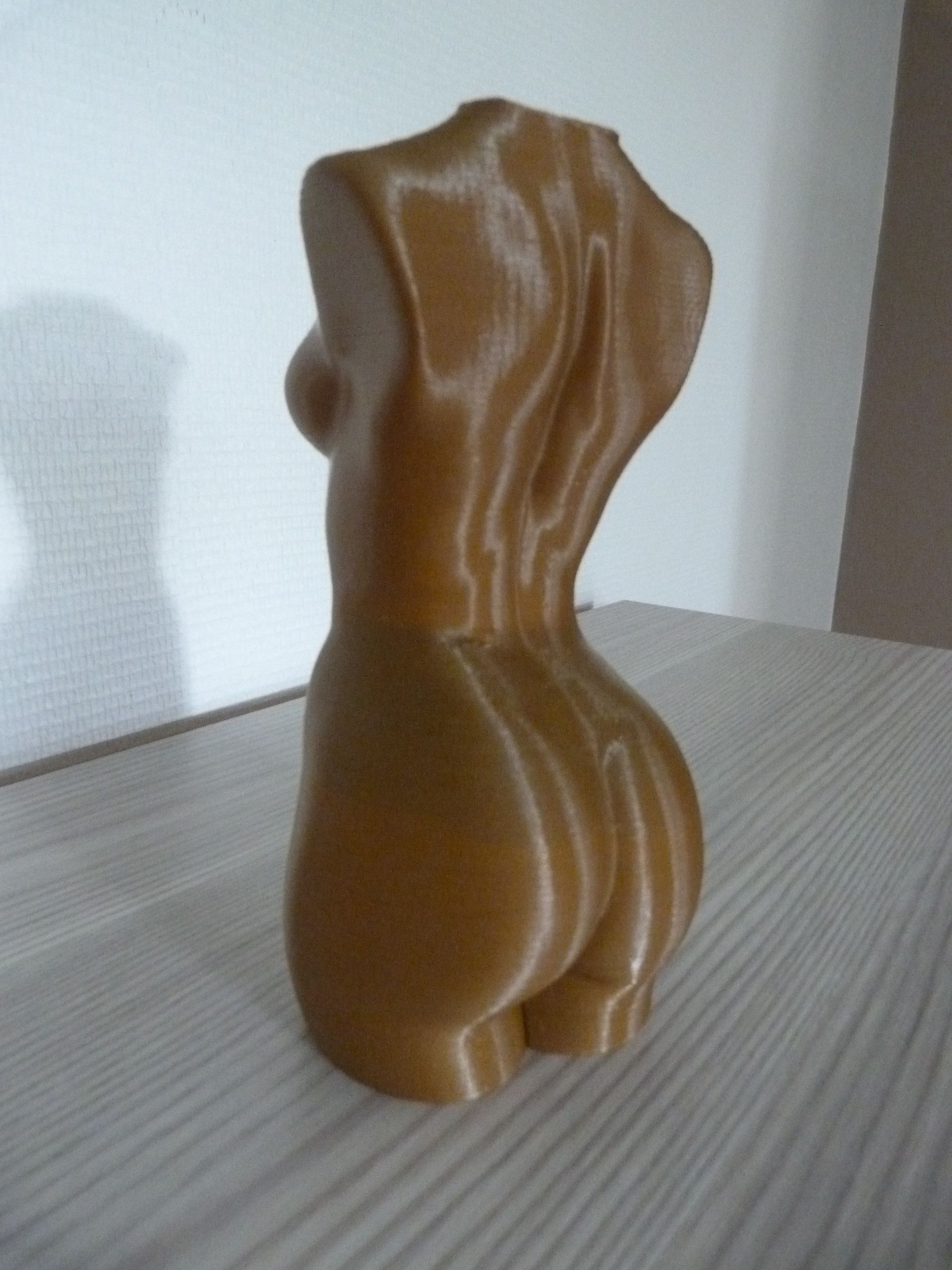 P1040327.JPG Download free STL file WOMAN BODY - POLYGON REDUCTION • 3D printing design, Omd