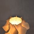 DSC_0039.JPG lamp shade - wave