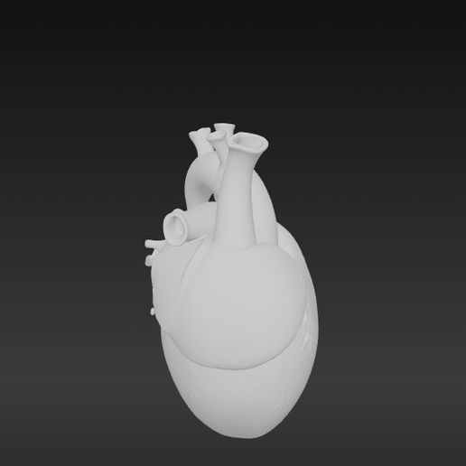 Archivo STL Realistic Anatomical Human Heart STL File for 3D Printing ...