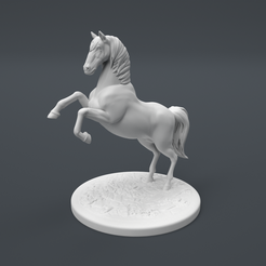 Horse_Main-Camera.png Horse Standing Pose