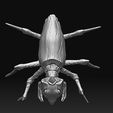 3.jpg Crawler