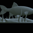 Perlin-25.png fish common rudd statue detailed texture for 3d printing