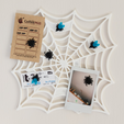 All-2.png Spiderweb Picture Board