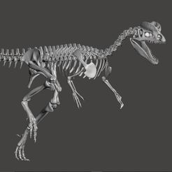 diloph3.jpg Fichier STL Squelette complet de dinosaure Dilophosaurus・Objet pour imprimante 3D à télécharger, Lucas_Kranz