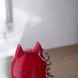 WhatsApp-Image-2024-10-23-at-7.17.09-PM.jpeg Molecat keychain / Grinder