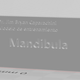 Mndibula-1.png Modelo de Formação Dentária Restauração (Mandíbula)/Modelo de Entrenamiento Dental Restauración (Mandíbula)