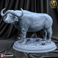 render1.jpg STL-Datei Kap-Büffel・Modell für 3D-Drucker zum Herunterladen
