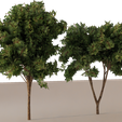 Tree-4.png Trees