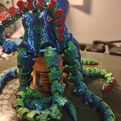 Octopus 2.0