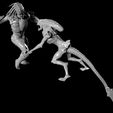 1_00000.jpg Xenomorph Alien VS Predator Statuette