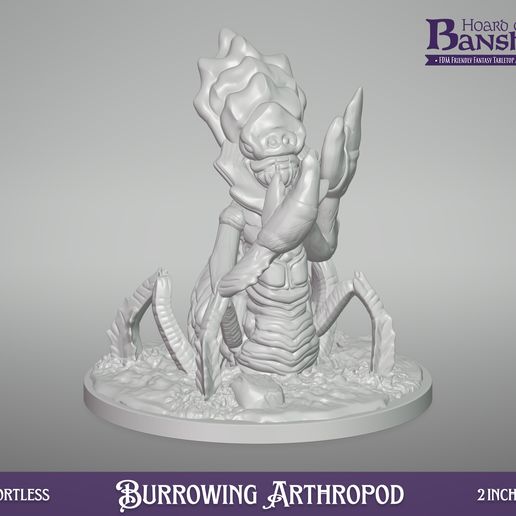 25-HOTB-00901-Burrowing-Arthropod-A.jpg Arthropode fouisseur