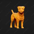 2224-Border_Terrier_Pose_03.jpg Border Terrier Dog 3D Print Model Pose 03