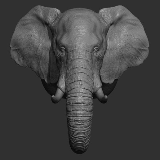 47.jpg Descargar archivo OBJ Cabeza de elefante • Plan para imprimir en 3D, guninnik81