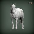 Percheron2.jpg Caballo percherón Modelo de impresión 3D