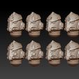 2.jpg salamanders helmets