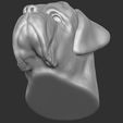16.jpg English Mastiff head for 3D printing