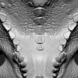 14.jpg Triceratops Head