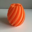 IMG_8746.JPG STL-Datei Flexi Vase # 001 kostenlos・3D-druckbares Design zum herunterladen