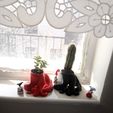 Bonsai Planter