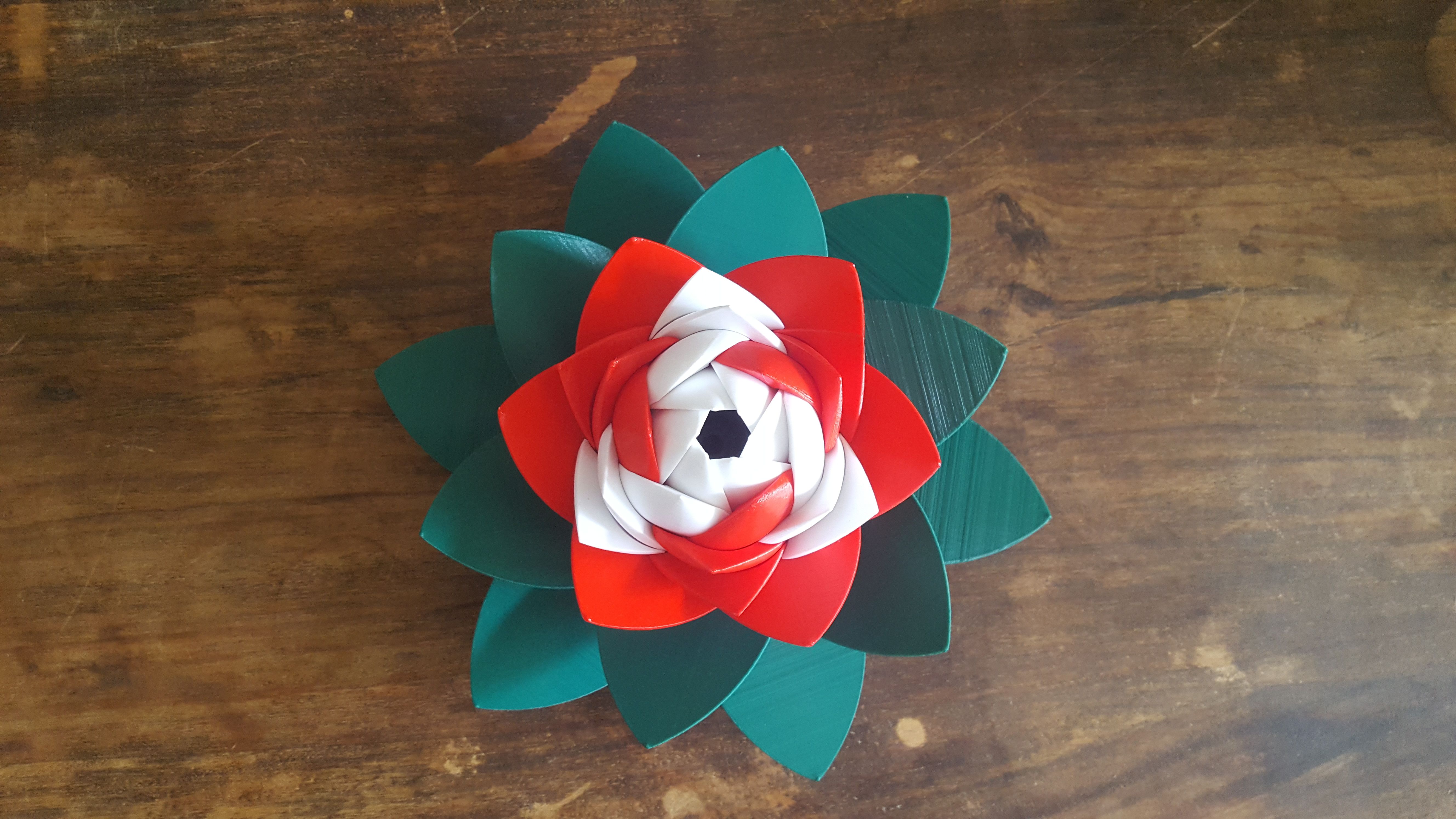 20190706_103510.jpg Télécharger fichier Casse-tête de fleurs • Modèle pour impression 3D, Job