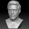 2.jpg Tony Stark Robert Downey Jr Iron Man bust for 3D printing