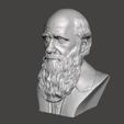 Charles-Darwin-2.png 3D Model of Charles Darwin - High-Quality STL File for 3D Printing (PERSONAL USE)