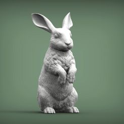 rabbit1.jpg Rabbit 3D print model