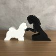 WhatsApp-Image-2023-01-06-at-19.47.10.jpeg Girl and her Shih tzu (wavy hair) for 3D printer or laser cut