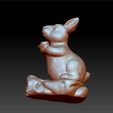 rabbit3.jpg rabbit 3d model