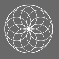 Screenshot-2023-11-16-210647.png Image of life II