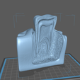 t1.png Tooth cutaway